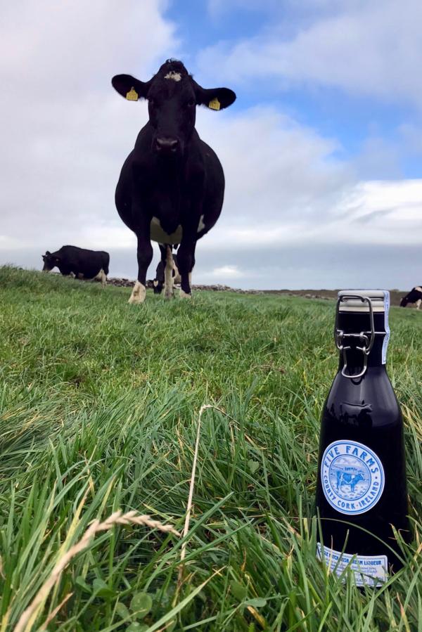 Five Farms Irish Cream Collection