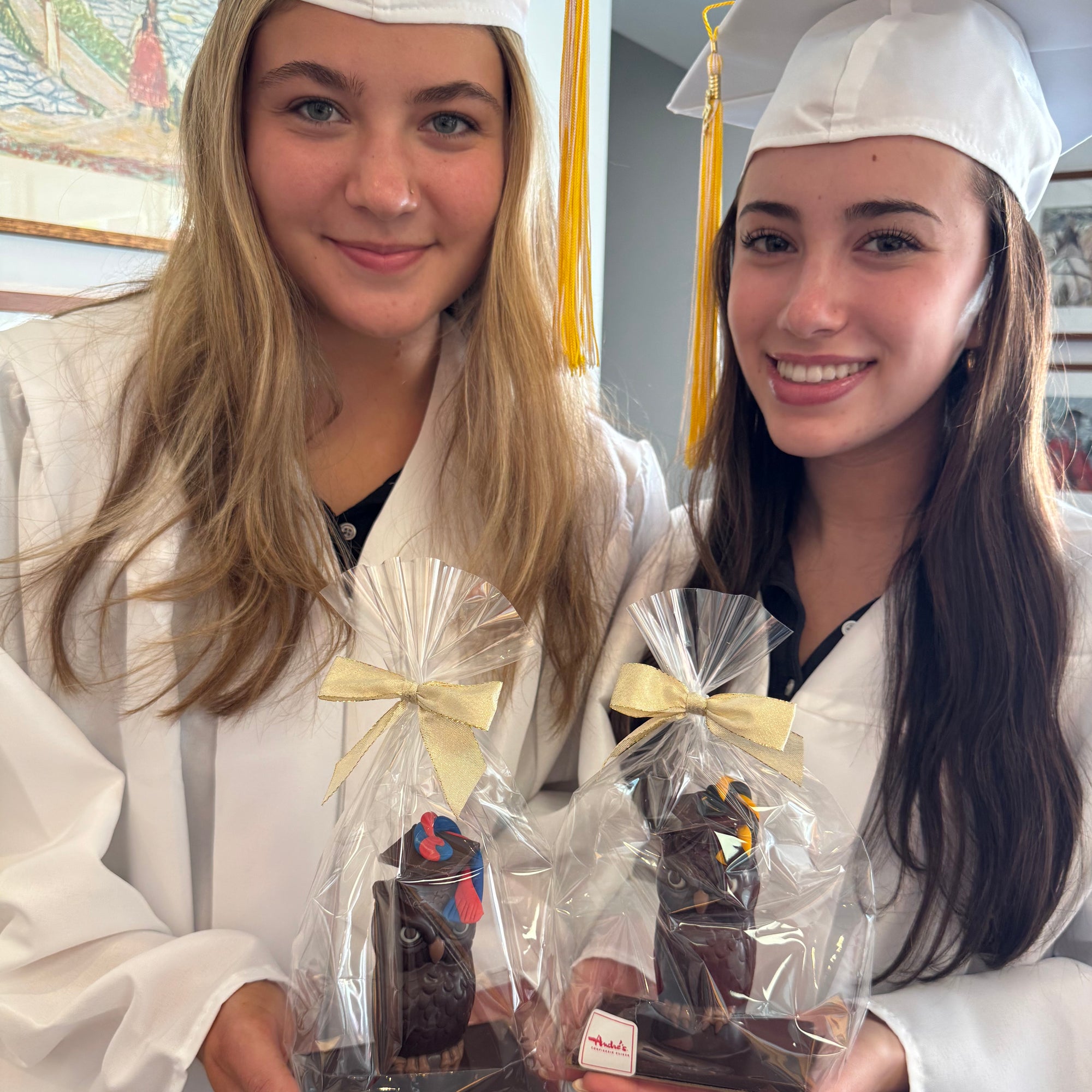 Graduation Owl — Pickup Only