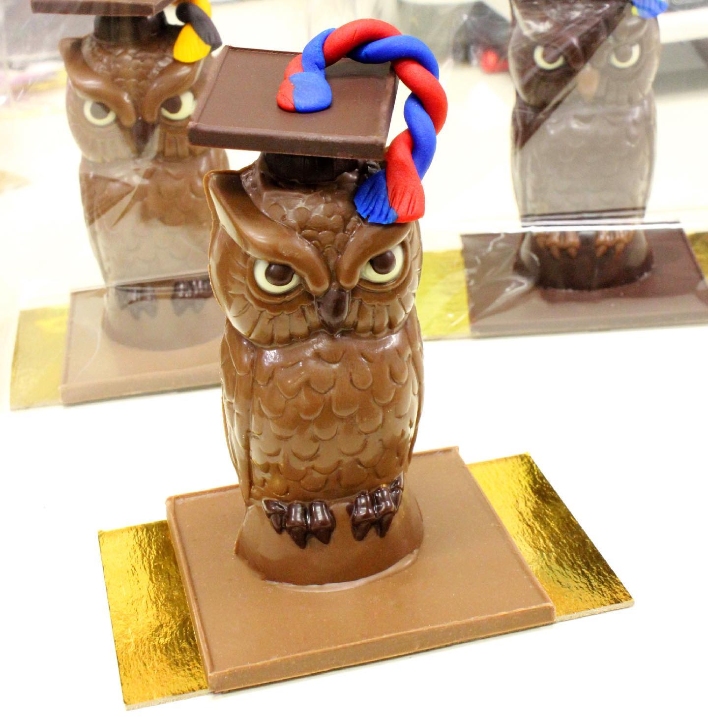 A milk chocolate molded graduation owl with a red and blue tassel on the mortar board