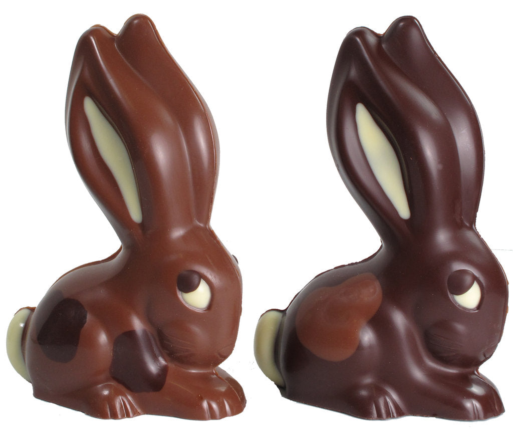Two chocolate bunnies with long ears,  with a white chocolate ear interior visible.